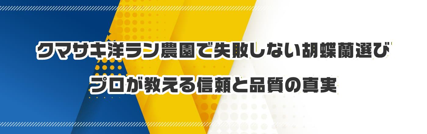 クマサキ洋ラン農園で失敗しない胡蝶蘭選び:プロが教える信頼と品質の真実